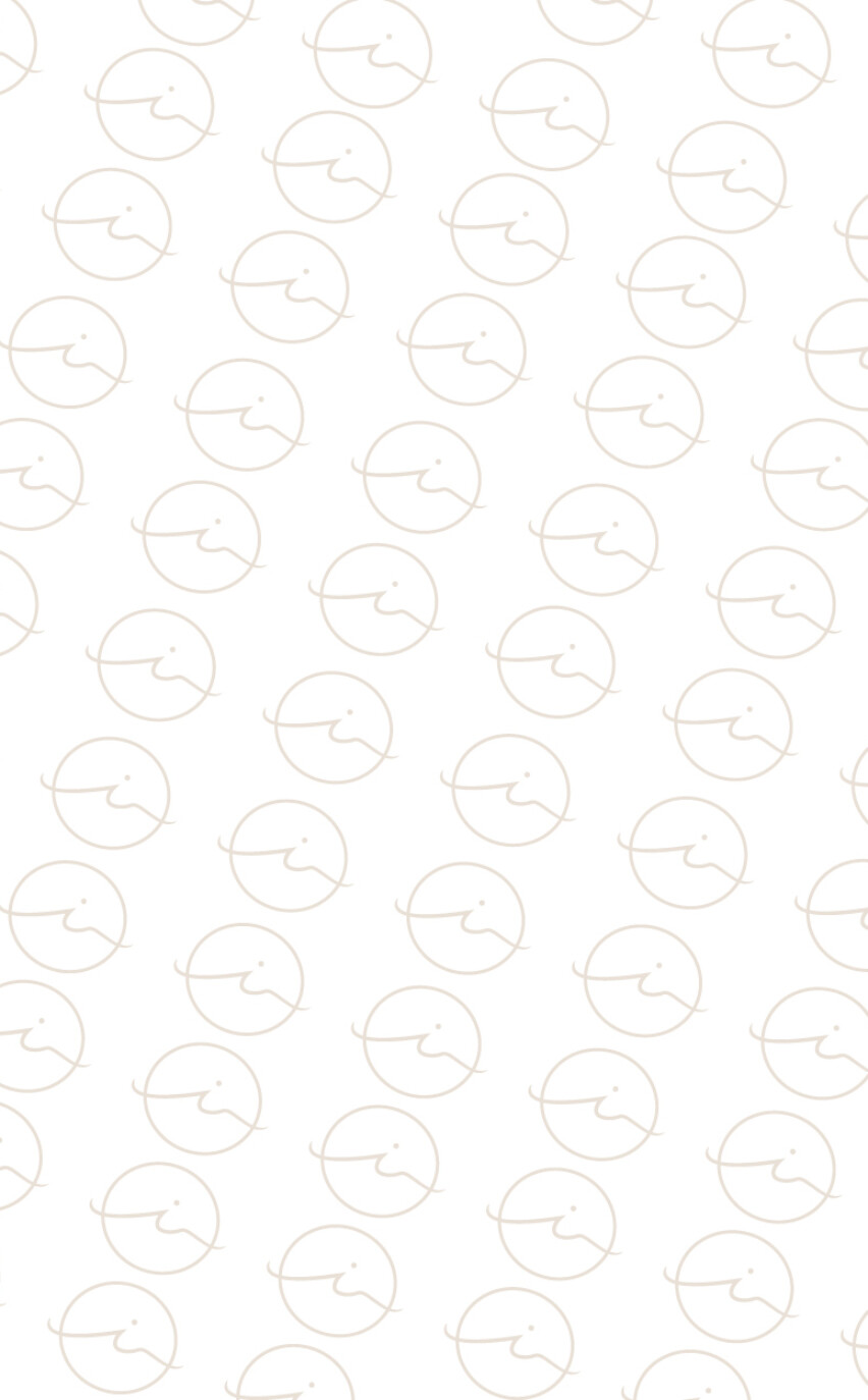 Ideal Nail Studio Logo