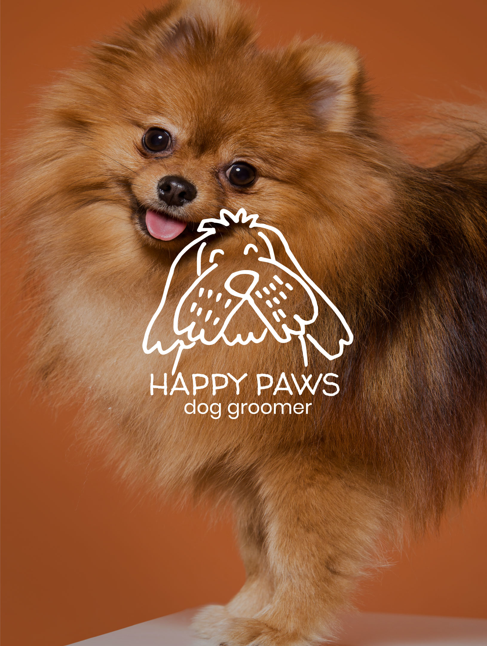 Happy Paws Groomer Logo Design DDigital Solutions